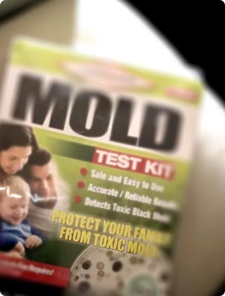 Reliability Concerns with DIY Mold Testing Kits