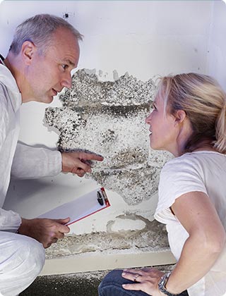 Mold Control Myths: Bleach and Vinegar