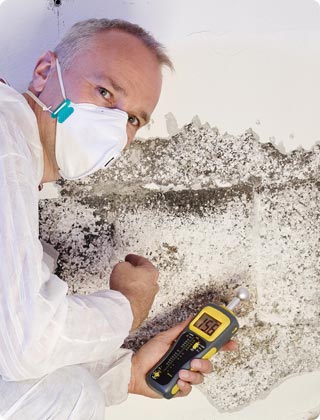 8 Key Tips for Hiring the Perfect Mold Inspection Contractor (Mold Inspector)
