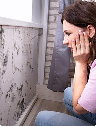 Preventing Mold and Mildew instead of Remediation