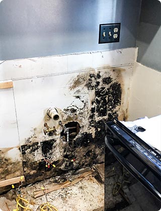 Are you sick and tired of mold in your house?