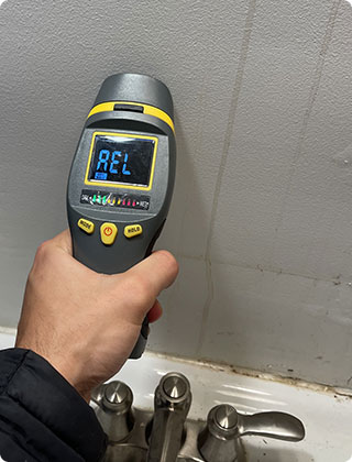 What is The Best Way to Check for Mold?