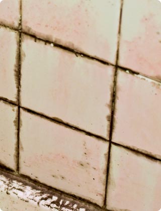 What Causes Pink Mold In Bathroom Showers, And How To Get Rid Of It