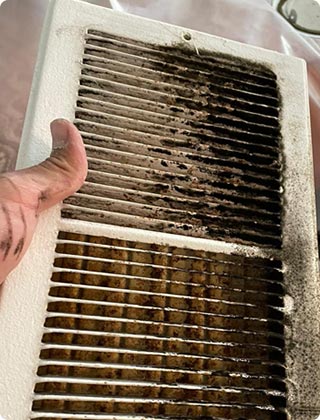 Should You Be Concerned If You Discover Mold in Your Home?