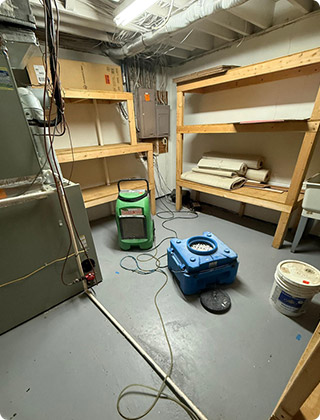 How to Deal with Mold in Your Basement: Complete Guide