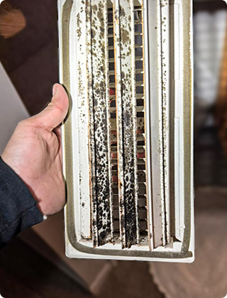 Mold in Air Conditioner: What Causes It and When to Be Concerned