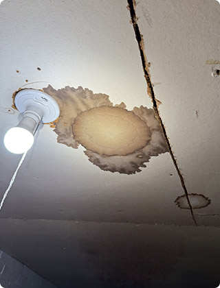 Attic Mold: Causes, Signs, and What to Do Next