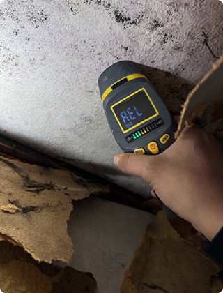 Professional moisture meter testing for attic mold