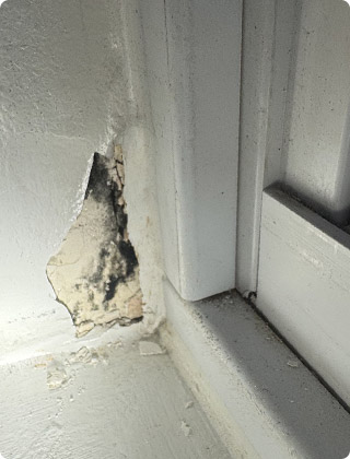 Windowsill Mold: Small Spots That Can Hide Big Mold