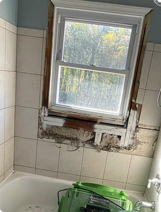 Windowsill Mold: Is It Dangerous? Or Just Ugly?