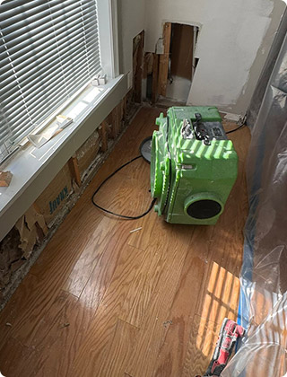 Windowsill Mold: When to Get a Professional Mold Test