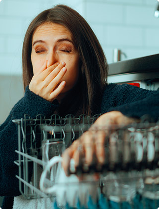 Mold in Your Dishwasher? Here's Why It Happens Mold in Your Dishwasher? Here's Why It Happens