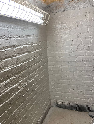 Does Mold Resistant Paint Work?