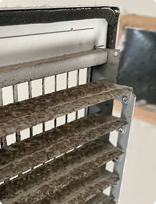 Wet Dog Smell Coming from Vents Wet Dog Smell Coming from Vents