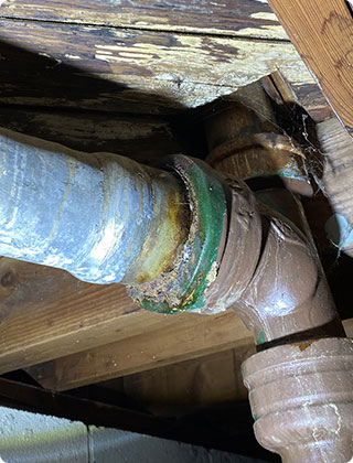 Analyzing the Impact of Plumbing Issues on Mold Growth in Crawl Spaces