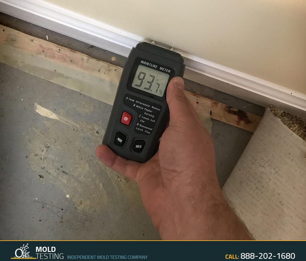 Mold Inspection & Testing