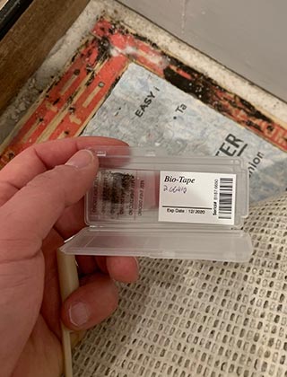 Surface Sampling Surface Sampling